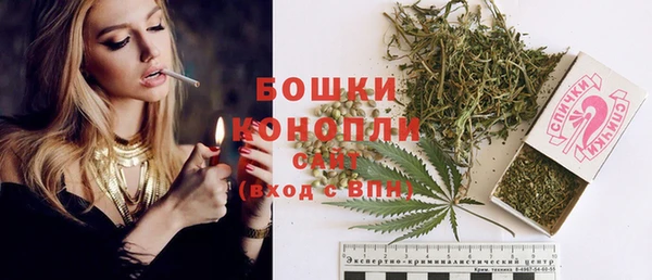 дживик Верея