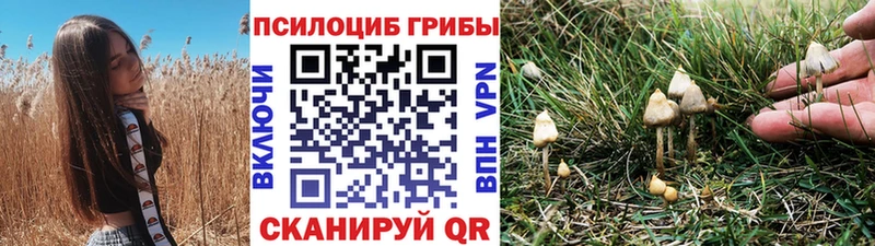 Галлюциногенные грибы GOLDEN TEACHER  Купить  Заволжье 